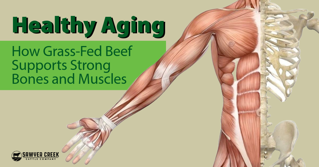 Healthy Aging: How Grass-Fed Beef Supports Strong Bones and Muscles