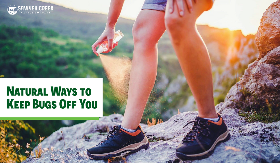 Natural Ways to Keep Bugs Off You (Without Smelling Like a Science Project)