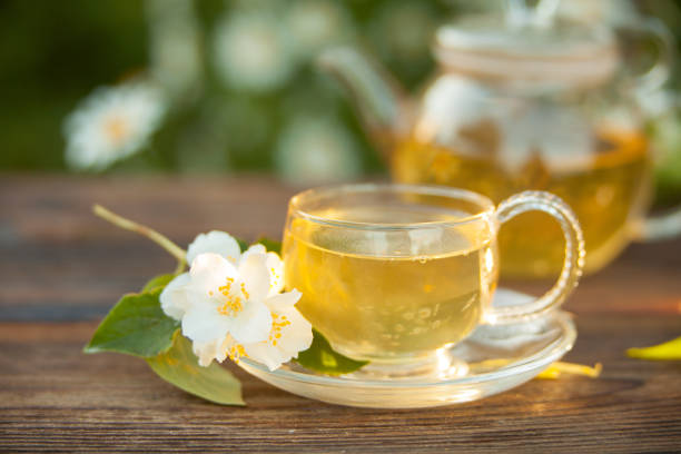 Sip Your Way to Better Health: The Power of Green and White Tea
