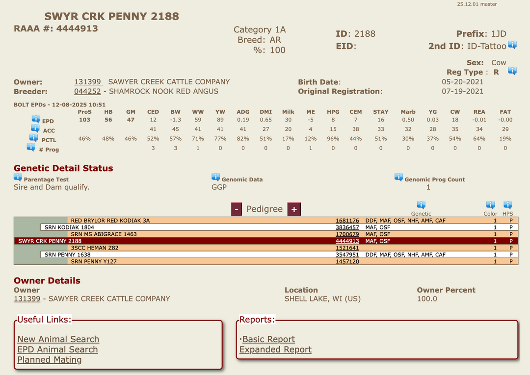 Registered Bred Cow: J188 - Price $4000