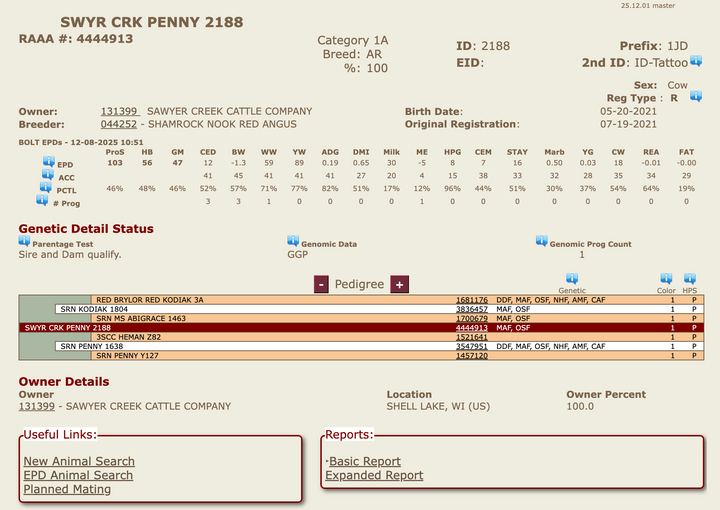 Registered Bred Cow: J188 - Price $4000