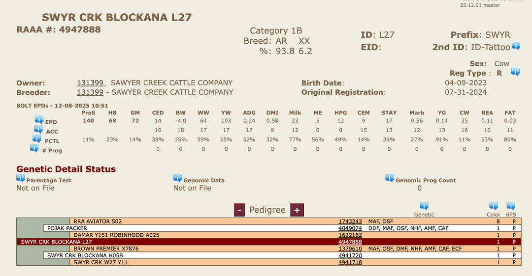 Registered Bred Cow: L27 - Price $3500