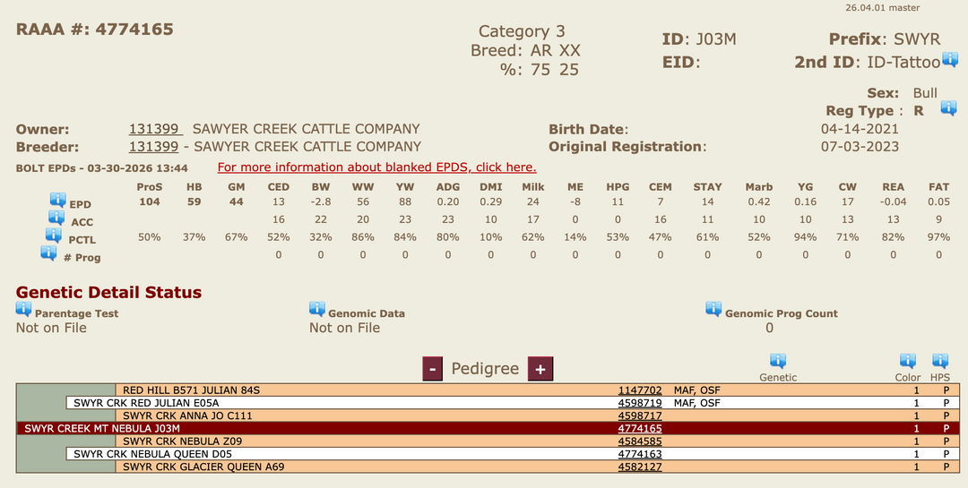 Registered Mature Red Bull: J03M $4500