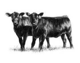 Half Beef - Fall 2025 WAITLIST